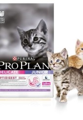 Pro Plan Delicate Kitten сухой корм для котят с чувствительным пищеварением с индейкой и рисом 10 кг.