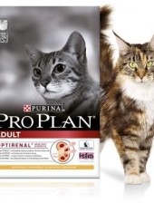 Pro Plan Original Adult сухой корм для кошек с курицей и рисом 1,5 кг.