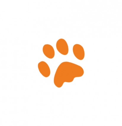 Биофар ошейник для собак от блох и клещей оранжевый 65 см
